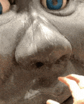 Mrandle Nose Squish GIF - Mrandle Nose Squish Stone Face GIFs