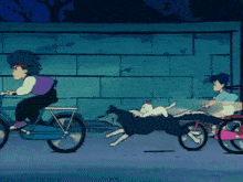 a cartoon of a boy riding a bike with a dog pulling a cat on the back