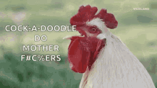 cock a doodle do chicken rooster good morning
