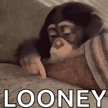 a chimpanzee is laying on a blanket and pointing at something .