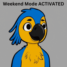 a blue and yellow parrot with weekend mode activated on the bottom