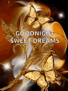 Sweet Dreams Goodnight GIF - Sweet Dreams Goodnight Sparkles GIFs