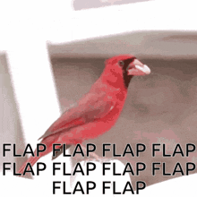 a red bird with the words " flap flap flap flap flap flap flap flap flap " below it