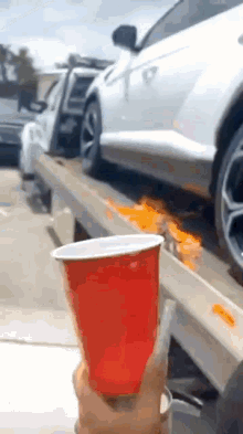 a person holding a red cup next to a tow truck