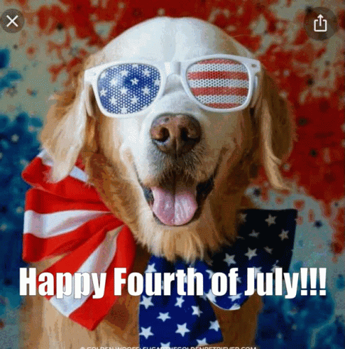 Happy Fourth Of July Dog Gif - Happy Fourth Of July Dog Patriotic 