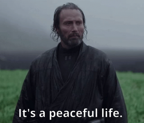 Its A Peaceful Life Galen Erso GIF - Its A Peaceful Life ...