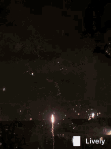 Fireworks Happy New Year GIF - Fireworks Happy New Year Celebrate GIFs