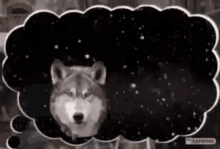 Solar System Wolf Inception GIF - Solar System Wolf Inception Wolf GIFs