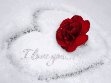 I Love You Rose GIF - I Love You Rose Red Rose GIFs