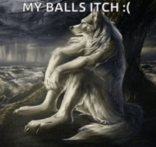 a painting of a wolf with the words my balls itch