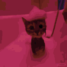 Cat Rave GIF - Cat Rave Two GIFs