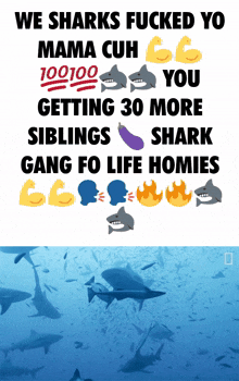 Shark-gang-mom Shark Gang GIF - Shark-gang-mom Shark Gang GIFs