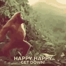 Happy Happy Get Down Happy Birthday GIF - Happy Happy Get Down Happy Birthday Monkey GIFs