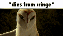 Dies From Cringe Owls Of Ga'Hoole GIF