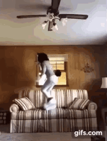 Couch Jumping Corgi GIF