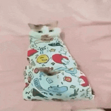 a cat is wrapped in a blanket and sitting on a bed .