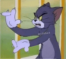 Tom And Jerry GIF - Tom And Jerry Tom GIFs