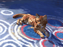 Eso Cat GIF - Eso Cat Sun Bathing Cat GIFs