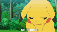 Pikachu Small Penis Small Cock GIF