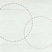 a woman 's face is surrounded by circles and the word finalista is visible