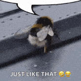 a bee with a speech bubble above it that says just like that