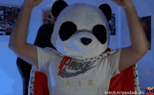 Pandaskilltv Pandaskill King GIF - Pandaskilltv Pandaskill Pandaskill King GIFs
