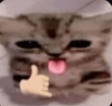 a cat is sticking its tongue out and giving a thumbs up sign .