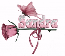 sandra