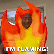 I'M Flaming Jessay Martin GIF - I'M Flaming Jessay Martin Oldgays GIFs