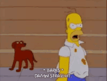 Homer Damnstraight GIF - Homer Damnstraight Simpsons GIFs
