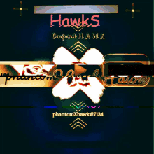 Phantom X Hawk Discord GIF - Phantom X Hawk Discord Hawk GIFs