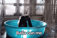 Scimmia Che Balla Balla Con Me Lavarsi Gorilla GIF - Monkey Dancing To Clean GIFs