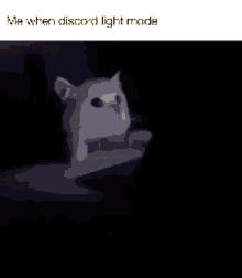 Discord Discord Light Mode GIF