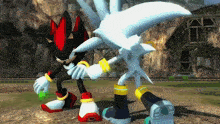shadow the hedgehog and silver the hedgehog are standing next to each other in a video game