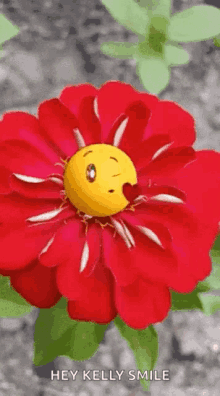 Emoji Good Night GIF - Emoji Good Night Flowers GIFs