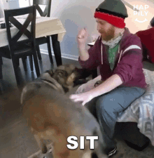 Sit Happily GIF - Sit Happily Dog GIFs