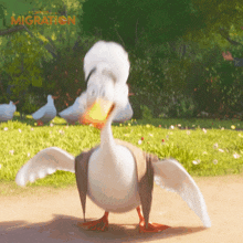 Dancing Migration GIF - Dancing Migration Time To Dance GIFs