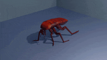 a 3d model of a flea is crawling on a blue surface