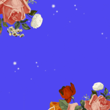 a blue background with red and white flowers and the words " i 'm sorry " in arabic