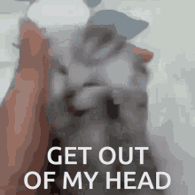 Get Out Of My Head Cat GIF