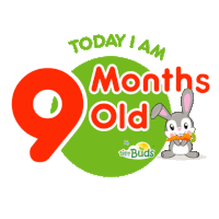 Tiny Buds Today I Am 9 Months Old Sticker