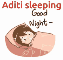 Aditi Sleeping Goodnight GIF