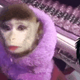 Swankaids Monkey Edna Days GIF - Swankaids Monkey Edna Days Stare GIFs