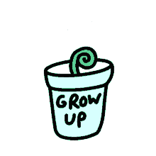 grow up veronica dearly plant houseplant potplant
