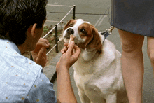 a man petting a dog while a woman stands behind him