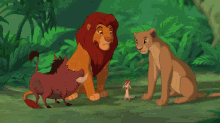 Sexy GIF - The Lion King Timon Pumba GIFs