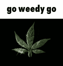 Go Weedy Go Weed GIF - Go Weedy Go Weed Dance GIFs