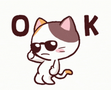 a cat wearing sunglasses is giving a thumbs up and says ok