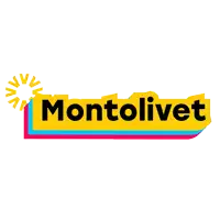 a yellow and blue logo for montolivet with a sun in the background