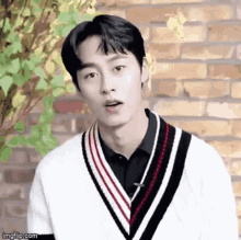 a young man wearing a sweater with a striped v-neck is standing in front of a brick wall .